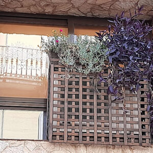 21 le Monde - Sant Feliu de Guíxols