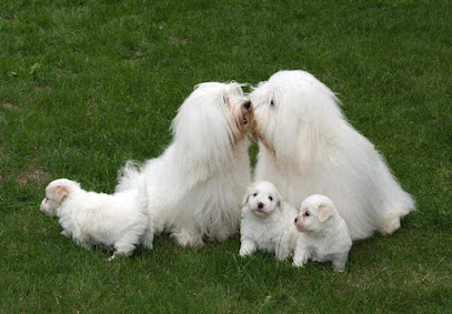 Foto Kennel can