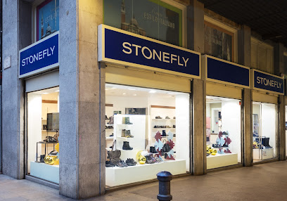 Foto Stonefly