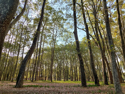 Foto Parque de la Devesa