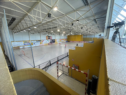 Foto Pabellón Municipal Palau 2