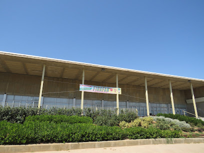 Foto Àrea d’Esports · Palau d’Esports i Congressos