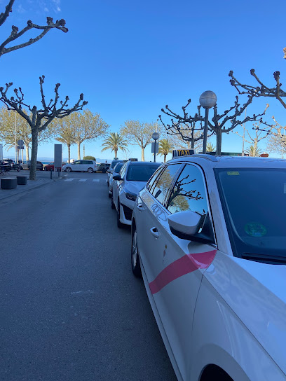 Foto Asociación Taxis Rosas
