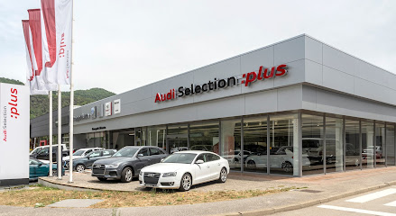 Foto Autopodium Audi Olot