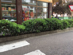 Avi Supermercado (prince) - Lloret de Mar