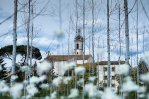 Ayuntamiento de Sils - Sils