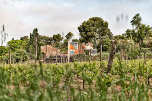 Bodegas Clos d'Agon (Mas Gil) - Calonge