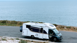 Camper Pals - Pals