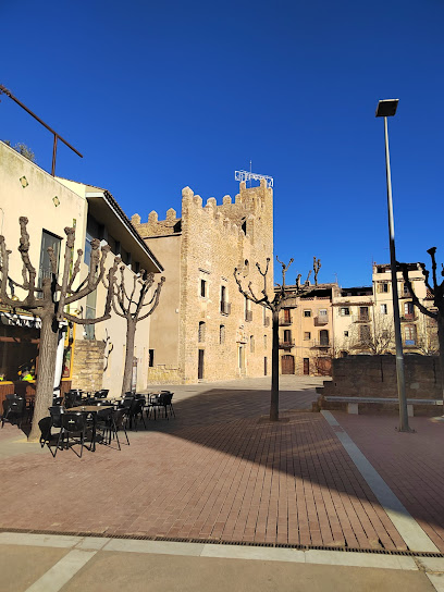 Foto Castillo de la Bisbal d’Empordà