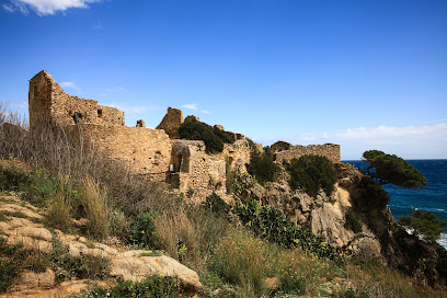 Foto Castillo de Sant Esteve de Mar