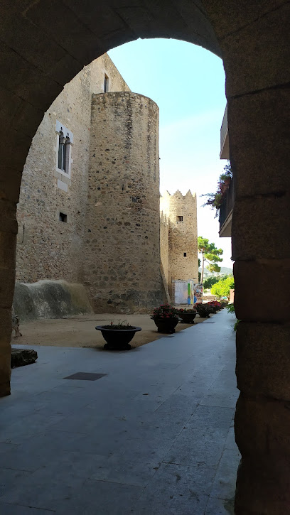 Foto Celler Castell de Calonge