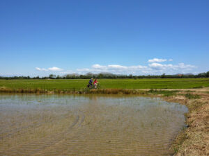 CicloTurisme Tours - Girona
