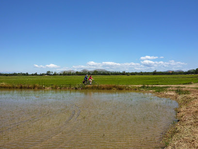 Foto CicloTurisme Tours