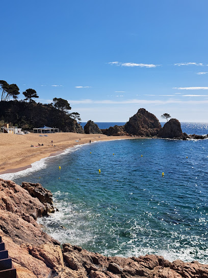 Foto Club Vela Blanes