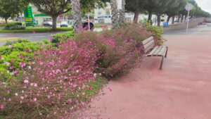 COPEMAR - Roses