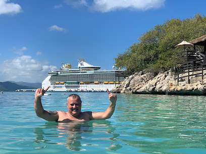 Foto Cruceritis