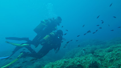 Foto Divers Centre d’Immersions en Platja d’Aro