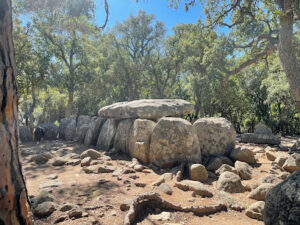 Dolmen de la Cova d"en Daina - Santa Cristina d'Aro