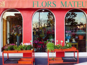 El Racó De les Flors - Roses
