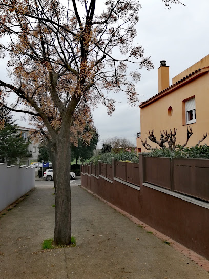 Foto Escuela Pública Carme Guasch i Darné