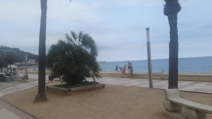 Foto Fisio-Blanes. Consulta de Fisioteràpia o Osteopatia. ESPECIALIDAD EN SUELO PÉLVICO FEMENINO Y MASCULINO.