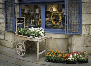Flor a punt (Floristeria) - Girona