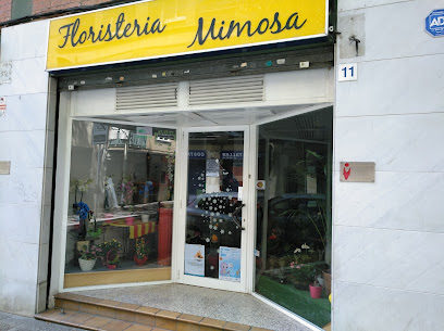 Foto Florist Mimosa