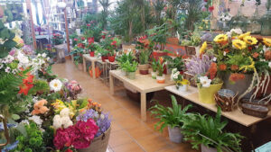 Floristeria Bosc de Tosca - Les Preses