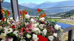 Floristeria Espiga Verda - Ripoll