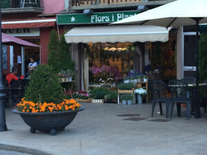 Floristería Joan - Puigcerdà