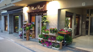 Floristería Planti Regal - Torroella de Montgrí