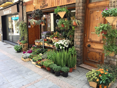 Foto Floristeria Pons