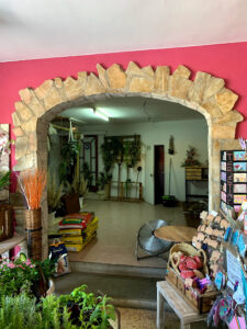 Floristeria Roser - Blanes