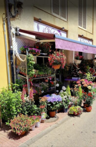 Floristeria Violette - Sant Feliu de Guíxols