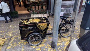 Flors Jumel - Girona
