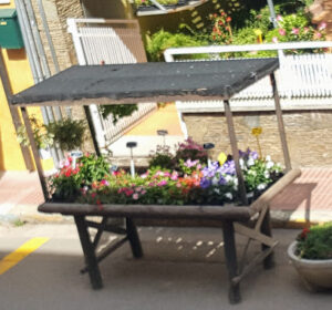 Flors Montse SL - Sant Antoni de Calonge