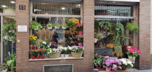 FLORS RABASSA - Lloret de Mar