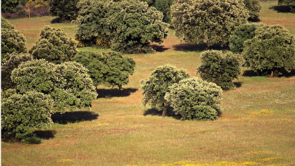 Foto Francisco Sagrera S.l.