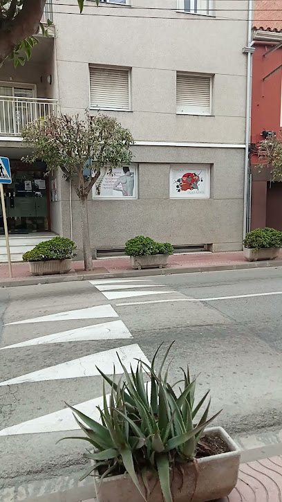 Foto Gimnàs S. Arbós
