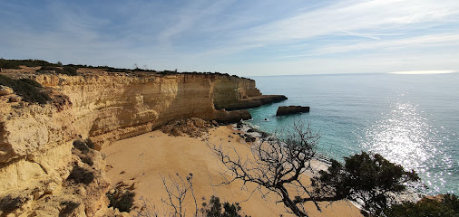 Foto Giroguies