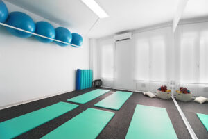 Global fisio - Figueres
