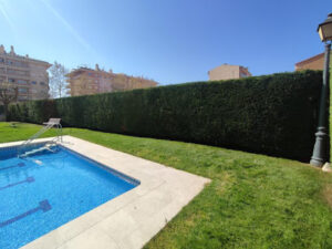 GRUPO GECKO 77 - Blanes