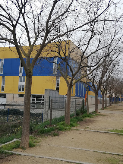 Foto Instituto Público Olivar Gran