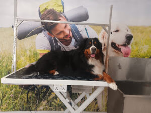 Karla perruqueria canina - La Bisbal d'Empordà