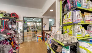 Kawama Animals - Academia de peluquería canina - Sant Feliu de Guíxols