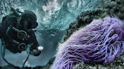 Foto KrakenDive Tossa de Mar – Escuela de Buceo