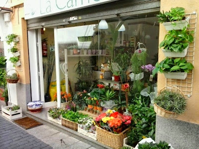 Foto La Camèlia Flors