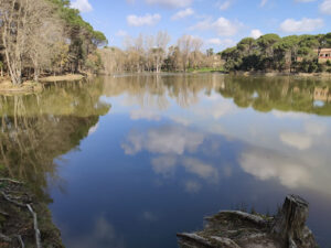 Llac del cigne - Caldes de Malavella