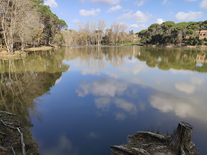Foto Llac del cigne