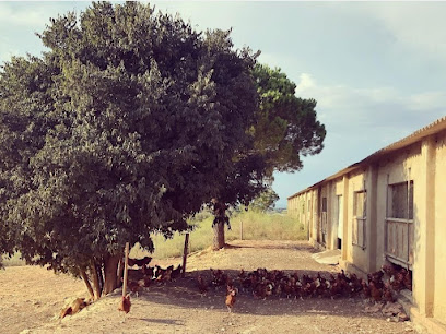 Foto L’ou Estrella